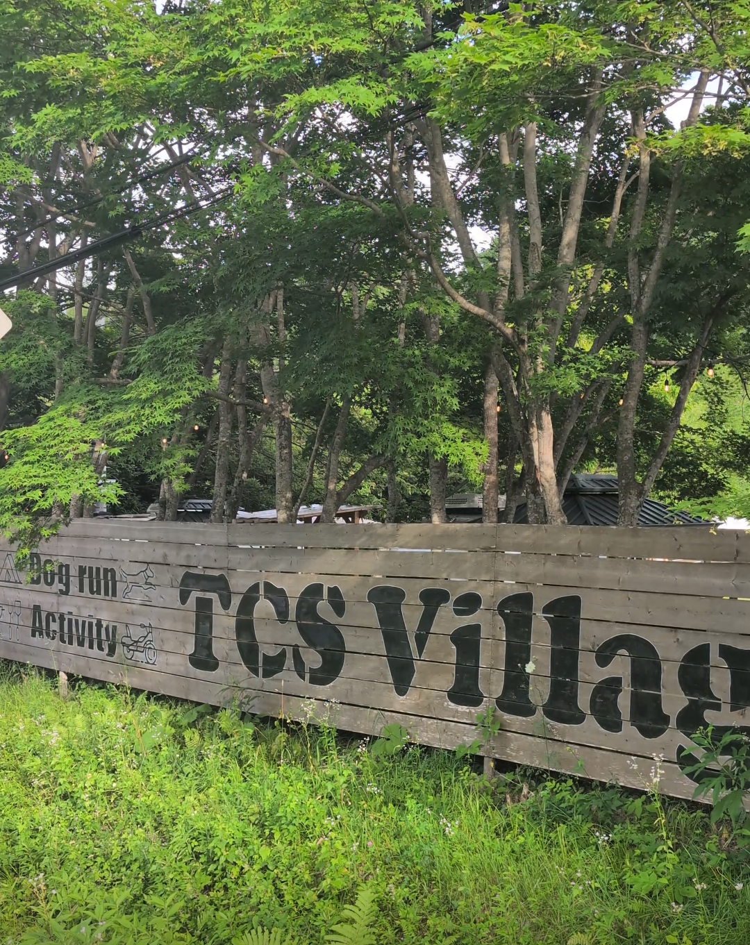 緑に囲まれたTCS Villageの看板